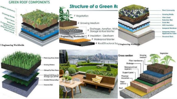 Green Roof Used in Eco-Friendly Structure - Engineering Feed